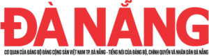 Trang Chu V2 Logo Bao Da Nang 8kgq