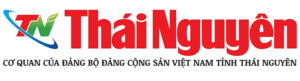 Trang Chu V2 Logo Bao Thai Nguyen 0xjf